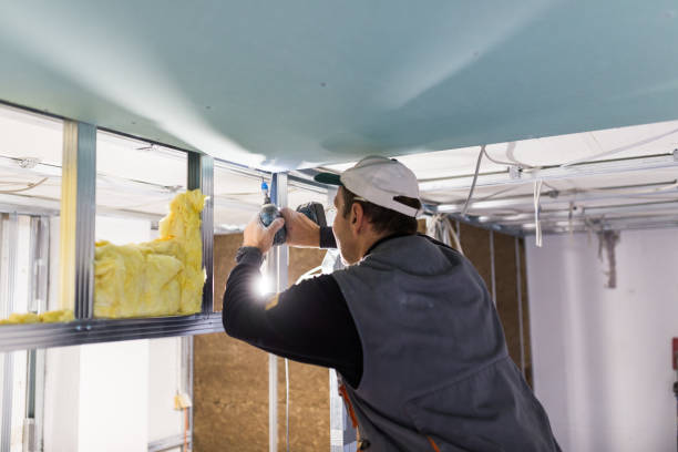 Best Insulation Installation Services in Cherryvale, SC